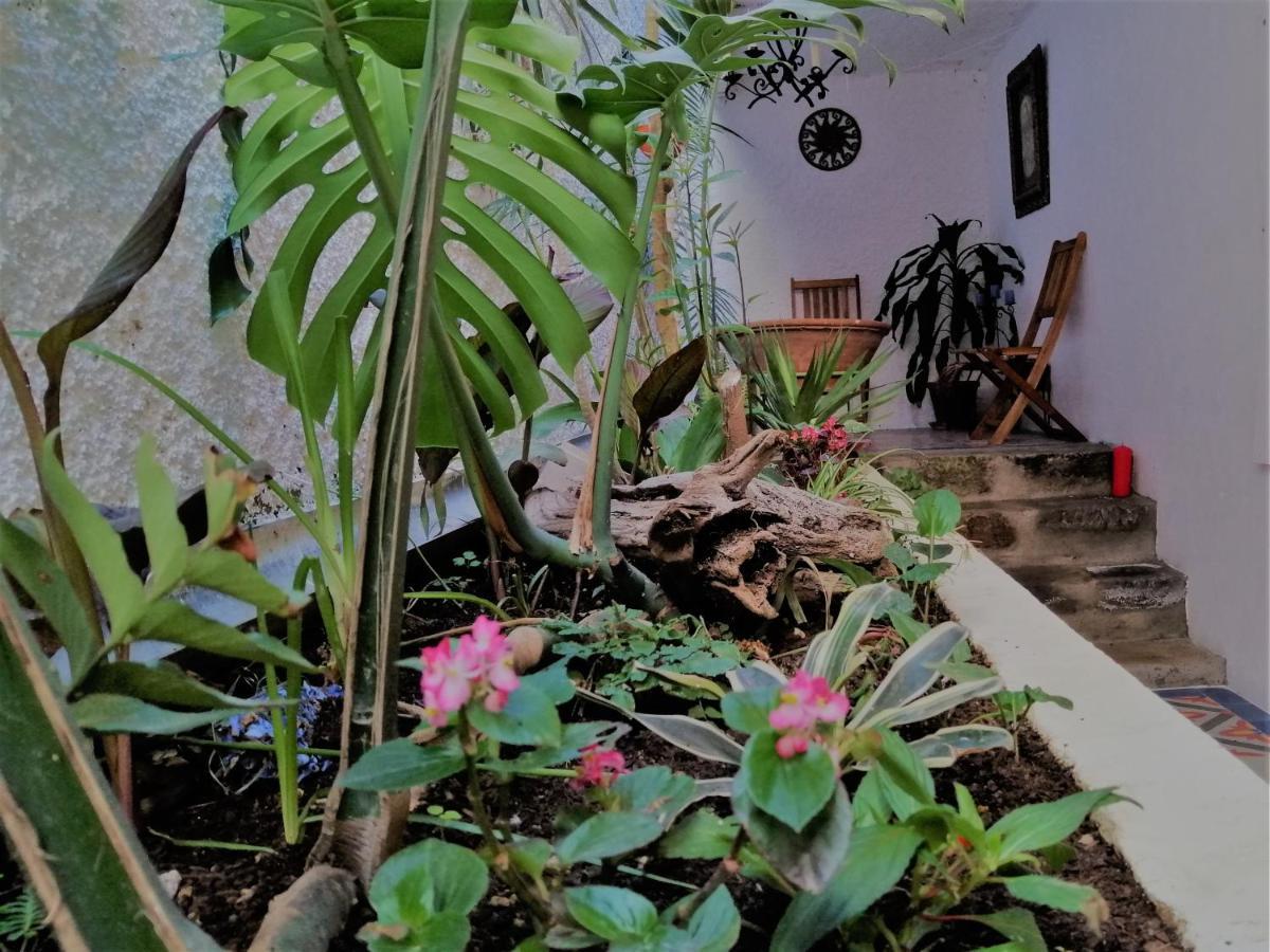 Bayview House Apartment Angra do Heroismo Ngoại thất bức ảnh